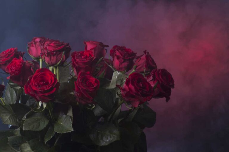 Hemel van rood en rozen