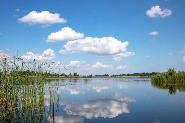 Nederhorst Ankeveen uitvaartzorg
